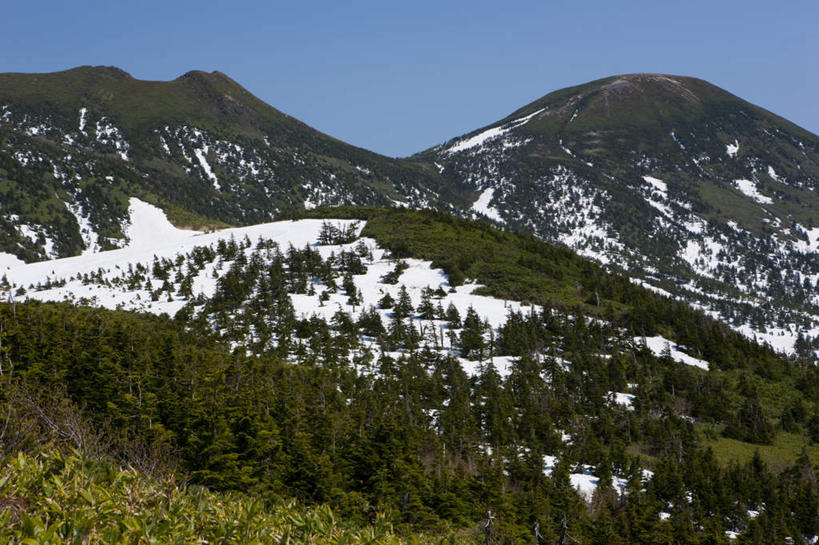 无人,横图,室外,白天,正面,旅游,度假,草地,草坪,美景,山,山脉,树林,植物,日本,亚洲,景观,山峰,山峦,娱乐,草,树,树木,蓝色,绿色,蓝天,天空,自然,群山,天,享受,休闲,景色,放松,生长,晴朗,成长,自然风光,东亚,本州,万里无云,本州岛,日本国,青森,青森县,东北地方,晴空,晴空万里,彩图
