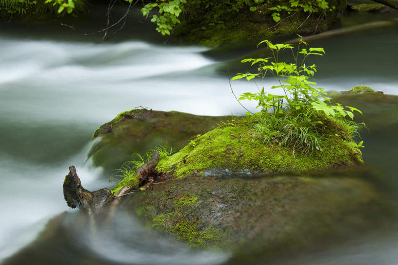 无人,横图,俯视,室外,白天,旅游,度假,草地,草坪,河流,礁石,石头,美景,树林,水,植物,日本,亚洲,石子,河水,景观,水流,娱乐,草,树,树木,绿色,小溪,自然,溪水,享受,休闲,景色,放松,生长,成长,自然风光,东亚,本州,本州岛,日本国,青森,青森县,东北地方,礁,石块,岩石,彩图,高角度拍摄