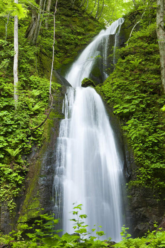 无人,竖图,室外,白天,正面,旅游,度假,草地,草坪,美景,瀑布,树林,水,植物,日本,亚洲,飞溅,溅,液体,景观,水滴,娱乐,水珠,草,树,树木,绿色,自然,享受,休闲,景色,放松,生长,成长,喷洒,自然风光,东亚,本州,本州岛,日本国,青森,青森县,东北地方,跌水,彩图
