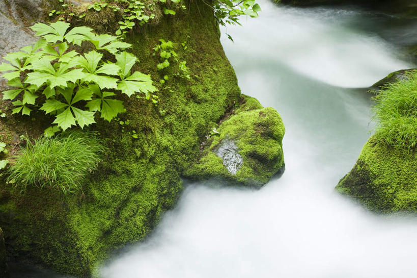 无人,横图,俯视,室外,白天,旅游,度假,草地,草坪,河流,礁石,石头,美景,树林,水,植物,日本,亚洲,石子,河水,景观,水流,娱乐,草,树,树木,绿色,小溪,自然,溪水,享受,休闲,景色,放松,生长,成长,自然风光,东亚,本州,本州岛,日本国,青森,青森县,东北地方,礁,石块,岩石,彩图,高角度拍摄