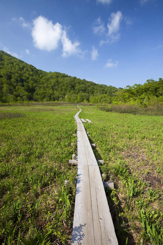 无人,竖图,室外,白天,正面,旅游,度假,美景,山,山脉,树林,植物,道路,路,公路,秋田县,日本,亚洲,阴影,光线,影子,景观,山峰,云,云朵,交通,山峦,云彩,娱乐,树,树木,蓝色,绿色,白云,蓝天,天空,阳光,自然,群山,天,享受,休闲,景色,放松,生长,晴朗,成长,自然风光,东亚,本州,本州岛,日本国,秋田,东北地方,晴空,马路,彩图
