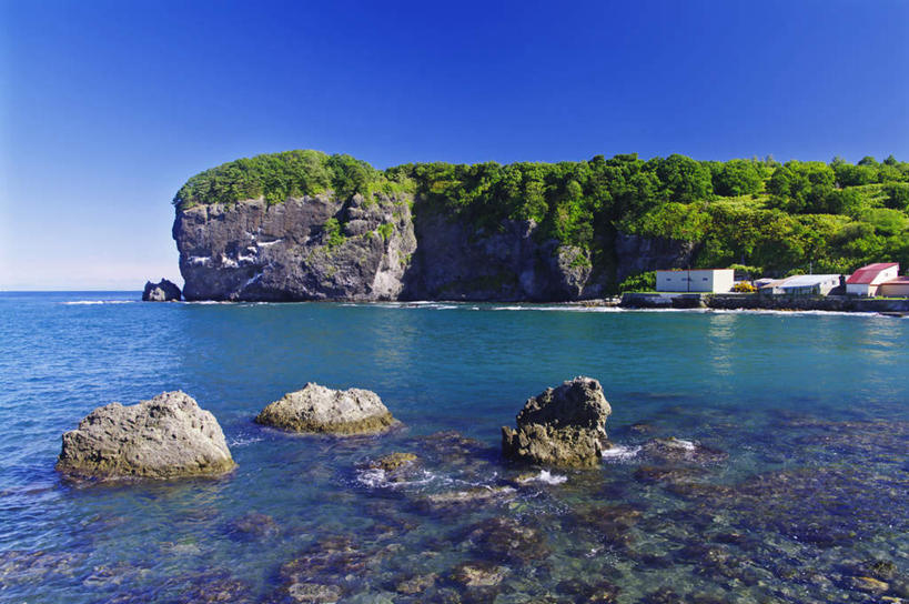 无人,横图,室外,白天,正面,旅游,度假,海浪,海洋,礁石,石头,美景,树林,植物,北海道,日本,亚洲,石子,景观,浪花,水平线,辽阔,海平线,娱乐,树,树木,蓝色,绿色,蓝天,天空,自然,海水,天,享受,休闲,广阔,景色,放松,生长,晴朗,成长,一望无际,自然风光,海景,东亚,万里无云,日本国,北海道地方,北海道岛,无边无际,一马平川,大海,风浪,海,海水的波动,礁,近岸浪,石块,岩石,涌浪,晴空,晴空万里,彩图,水天相接,水天一线