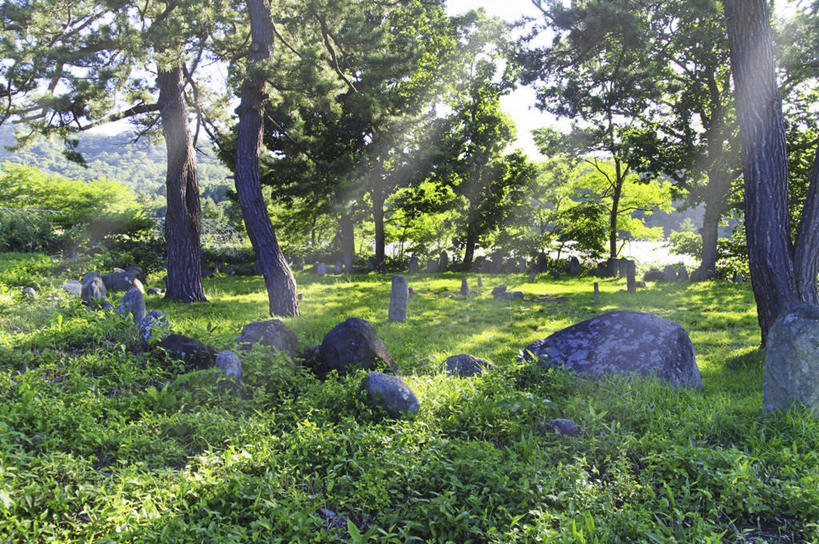 无人,横图,室外,白天,正面,旅游,度假,草地,草坪,美景,树林,植物,北海道,日本,亚洲,阴影,光线,影子,景观,娱乐,草,树,树木,蓝色,绿色,蓝天,天空,阳光,自然,天,享受,休闲,景色,放松,生长,晴朗,成长,自然风光,东亚,万里无云,日本国,北海道地方,北海道岛,晴空,晴空万里,彩图