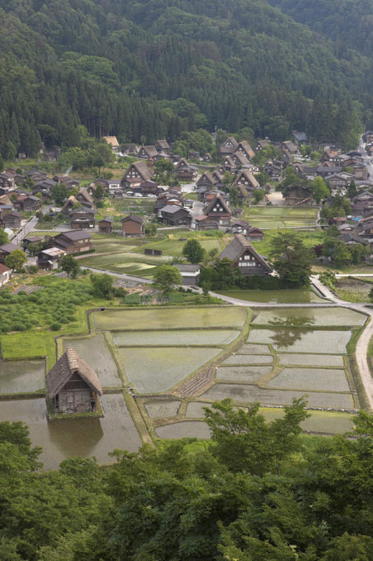 无人,家,农田,竖图,俯视,航拍,室外,白天,旅游,度假,庄稼,农作物,草地,草坪,美景,植物,别墅,城市风光,城市,建筑,日本,亚洲,房屋,屋子,景观,公寓,娱乐,建设,洋房,楼房,住宅,草,树,树木,绿色,自然,享受,休闲,景色,放松,生长,成长,鸟瞰,自然风光,东亚,本州,本州岛,日本国,中部地方,岐阜,岐阜县,彩图,高角度拍摄,耕地,庄稼田,房子