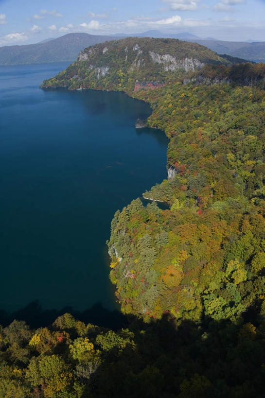 无人,竖图,俯视,航拍,室外,白天,旅游,度假,湖,湖泊,美景,森林,树林,水,植物,日本,亚洲,湖面,景观,水流,水面,云,云朵,云彩,娱乐,树,树木,蓝色,绿色,白云,蓝天,天空,自然,湖水,天,享受,休闲,景色,放松,生长,成长,鸟瞰,自然风光,东亚,本州,本州岛,日本国,青森,青森县,东北地方,十和田市,十和田,彩图,高角度拍摄