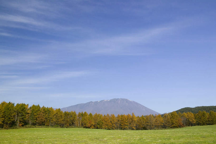 无人,横图,室外,白天,正面,旅游,度假,草地,草坪,美景,森林,树林,植物,日本,亚洲,景观,云,云朵,云彩,娱乐,草,树,树木,蓝色,绿色,白云,蓝天,天空,自然,天,享受,休闲,景色,放松,生长,晴朗,成长,自然风光,东亚,本州,本州岛,日本国,岩手,岩手县,东北地方,晴空,彩图