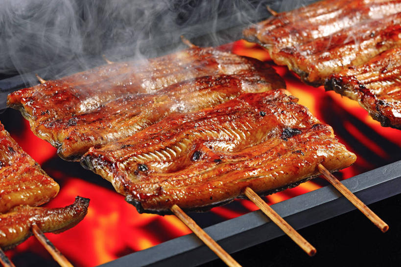 鳗鱼,无人,横图,俯视,室内,特写,白天,烹饪,烧烤,热情,雾,餐桌,桌子,鳗鲡,火,一排,阴影,沸腾,整齐,反射,蒸汽,火焰,影子,烟雾,肉,鱼肉,日本料理,料理,食品,烤架,水蒸气,烤肉,燃烧,菜肴,美食,肉类,竹签,食物,排列,日式料理,日式,铁架,摄影,佳肴,影棚,餐台,康吉鳗,队列,肉食,河鳗,取食签,蒸发,白鳗,青鳝,风馒,白鳝,彩图,高角度拍摄,影棚拍摄,拍摄