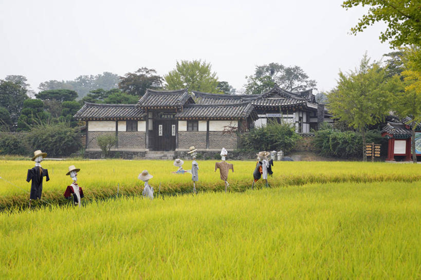 无人,农田,横图,室外,白天,正面,旅游,度假,农业,庄稼,农作物,美景,建筑,朝鲜,韩国,亚洲,阴影,光线,瓦片,影子,屋顶,稻田,景观,稻草,顶棚,瓦,娱乐,稻草人,蓝色,蓝天,天空,阳光,自然,天,享受,休闲,景色,放松,建造,晴朗,自然风光,东亚,屋瓦,万里无云,偶人,大韩民国,朝鲜半岛,朝鲜民主主义人民共和国,韩半岛,晴空,晴空万里,彩图,耕地,庄稼田