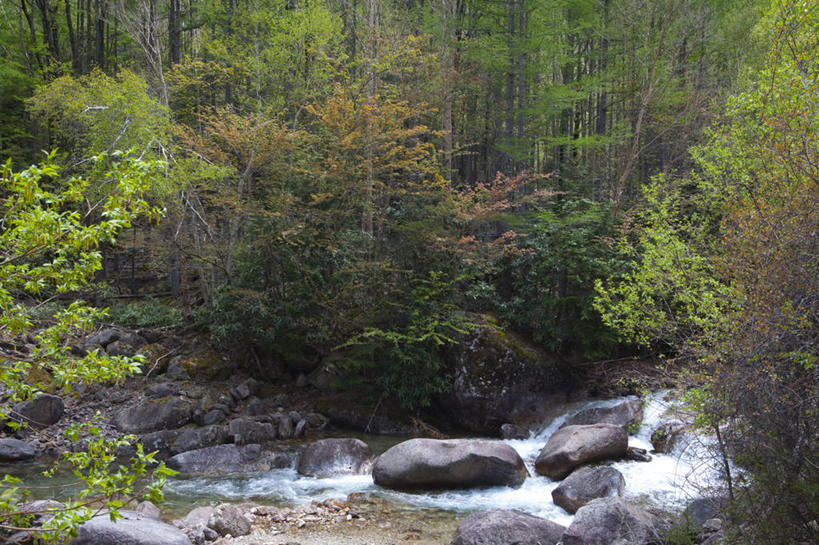 无人,横图,室外,白天,正面,旅游,度假,河流,石头,美景,山,山脉,树林,水,植物,长野县,日本,亚洲,阴影,光线,石子,影子,河水,景观,山峰,水流,山峦,娱乐,树,树木,绿色,小溪,阳光,自然,群山,溪水,享受,休闲,景色,放松,生长,成长,自然风光,东亚,本州,本州岛,日本国,中部地方,长野,新潟,新潟县,信浓川,石块,彩图