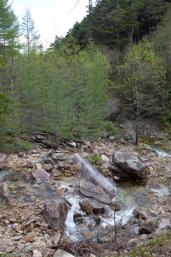 无人,竖图,室外,白天,正面,旅游,度假,草地,草坪,河流,石头,美景,树林,水,植物,长野县,日本,亚洲,阴影,光线,石子,影子,河水,景观,水流,娱乐,草,树,树木,蓝色,绿色,蓝天,天空,小溪,阳光,自然,天,溪水,享受,休闲,景色,放松,生长,晴朗,成长,自然风光,东亚,本州,万里无云,本州岛,日本国,中部地方,长野,新潟,新潟县,信浓川,石块,晴空,晴空万里,彩图