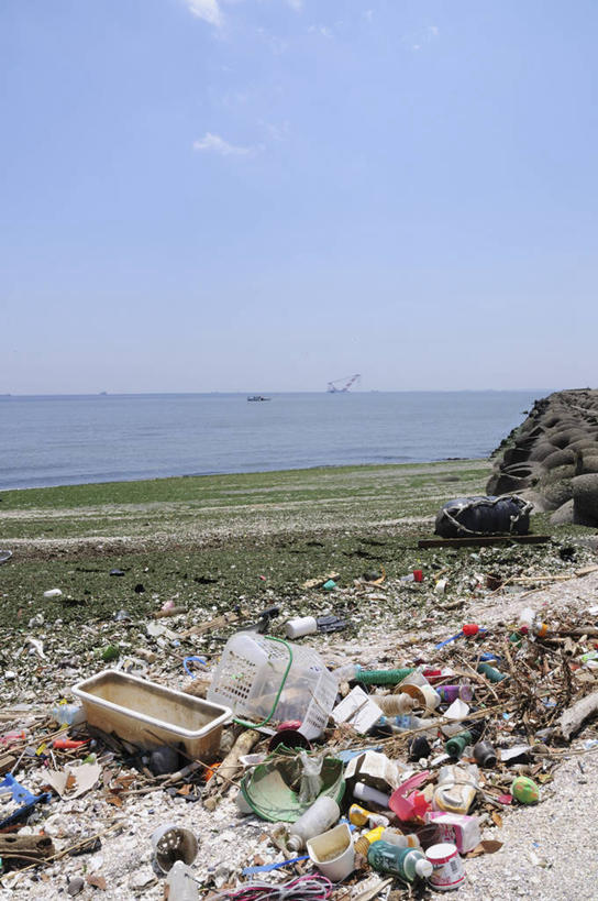 无人,竖图,室外,白天,正面,旅游,度假,草地,草坪,海浪,海洋,美景,植物,日本,亚洲,废弃,堆积,景观,浪花,水平线,云,云朵,辽阔,垃圾,海平线,千叶县,云彩,娱乐,草,蓝色,绿色,白云,蓝天,天空,自然,海水,天,享受,休闲,广阔,景色,放松,肮脏,晴朗,一望无际,垃圾场,自然风光,丢弃,海景,东亚,邋遢,收集,本州,关东地方,本州岛,日本国,千叶,龌龊,污秽,无边无际,一马平川,浦安市,浦安,大海,风浪,海,海水的波动,近岸浪,涌浪,晴空,彩图,水天相接,水天一线