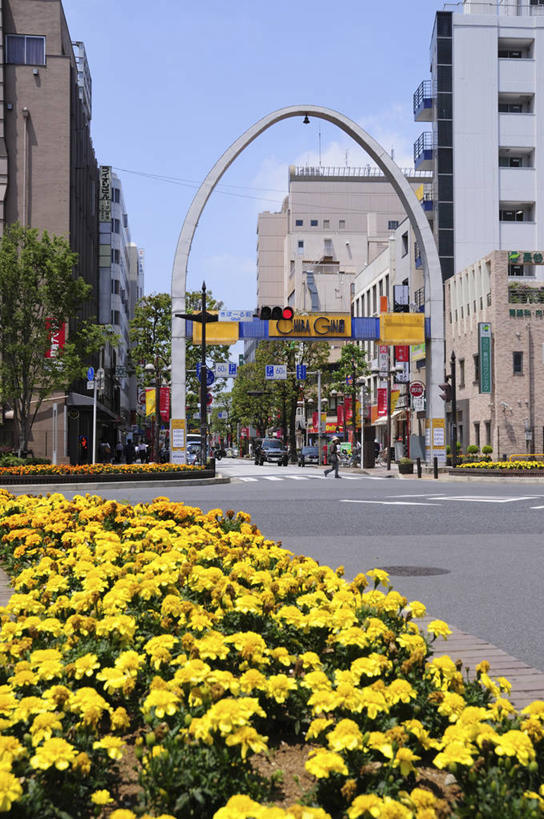 无人,商店,竖图,室外,白天,正面,购物,度假,消费,花海,花圃,美景,植物,城市风光,超市,城市,商场,叶子,日本,亚洲,阴影,盛开,光线,影子,景观,云,云朵,万寿菊,千叶市,千叶县,花蕾,云彩,娱乐,花,花瓣,花朵,花卉,鲜花,黄色,蓝色,绿色,白云,蓝天,天空,阳光,花丛,花束,花田,天,花苞,花蕊,享受,休闲,健康,景色,放松,金融,百货,晴朗,选购,贸易,百货公司,东亚,本州,关东地方,本州岛,日本国,血拼,长寿,县厅,千叶,臭芙蓉,蜂窝菊,友情,晴空,彩图,购物商场,购物中心,商业中心