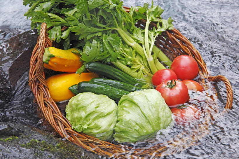 无人,交叉,横图,俯视,室外,特写,白天,河流,石头,美景,水,竹子,黄瓜,蔬菜,西红柿,一堆,许多,阴影,波纹,堆叠,堆积,竹制,新鲜,编织,光线,篮子,石子,影子,河水,景观,水流,菜瓜,生菜,丝瓜,莴苣,莴笋,食品,涟漪,食物,一个,水纹,小溪,阳光,自然,竹篮,波浪,溪水,景色,有机食品,绿色食品,单个,竹条,堆,交织,波光粼粼,竹制品,自然风光,香笋,水晕,春菜,鹅仔菜,莴仔菜,千金菜,叶用莴苣,胜瓜,穿插,布瓜,天罗,石块,岩石,洋柿子,青瓜,胡瓜,柑仔蜜,番茄,臭柿,彩图,高角度拍摄,六月柿,喜报三元