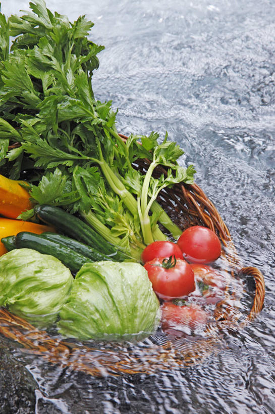 无人,交叉,竖图,俯视,室外,特写,白天,河流,石头,美景,水,竹子,黄瓜,蔬菜,西红柿,一堆,许多,阴影,波纹,堆叠,堆积,竹制,新鲜,编织,光线,篮子,石子,影子,河水,景观,水流,菜瓜,生菜,丝瓜,莴苣,莴笋,食品,涟漪,食物,一个,水纹,小溪,阳光,自然,竹篮,波浪,溪水,景色,有机食品,绿色食品,单个,竹条,堆,交织,波光粼粼,竹制品,自然风光,香笋,水晕,春菜,鹅仔菜,莴仔菜,千金菜,叶用莴苣,胜瓜,穿插,布瓜,天罗,石块,岩石,洋柿子,青瓜,胡瓜,柑仔蜜,番茄,臭柿,彩图,高角度拍摄,六月柿,喜报三元