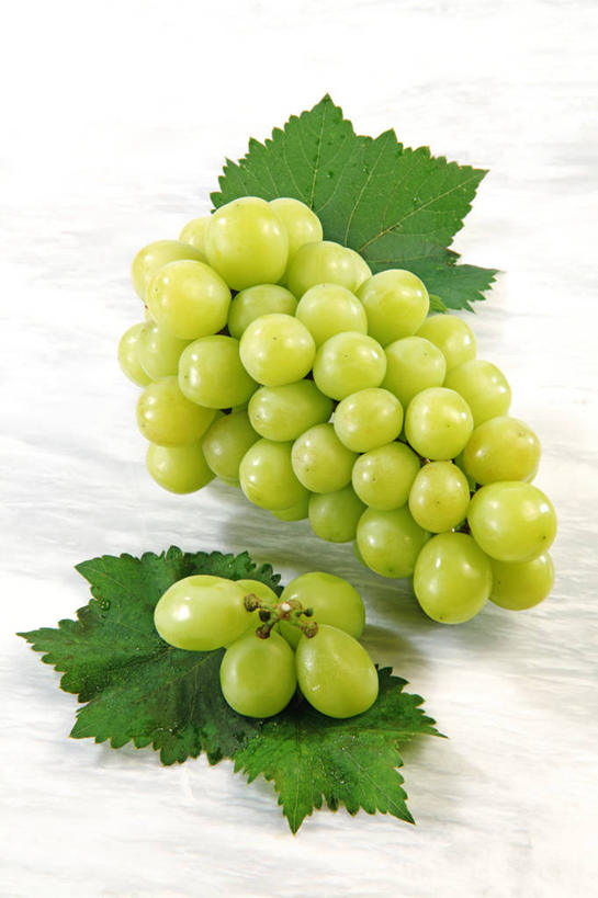 无人,竖图,俯视,室内,特写,白天,白色背景,葡萄,水果,叶子,一堆,许多,堆叠,堆积,新鲜,生食,食品,果实,绿叶,很多,食物,绿色,嫩叶,摄影,有机食品,绿色食品,影棚,堆,叶,叶片,山葫芦,蒲桃,草龙珠,彩图,高角度拍摄,影棚拍摄,拍摄,白麝香