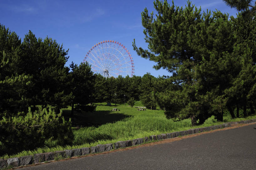 无人,公园,横图,室外,白天,正面,度假,游戏,草地,草坪,美景,植物,城市风光,城市,道路,路,东京,日本,亚洲,阴影,光线,影子,景观,云,云朵,摩天轮,小路,交通,玩,云彩,娱乐,草,树,树木,一个,蓝色,绿色,白云,蓝天,天空,阳光,自然,天,享受,休闲,景色,放松,游乐设施,生长,晴朗,单个,成长,活动,发泄,消遣,智力,东亚,本州,费里斯大转轮,关东地方,本州岛,日本国,东京都,宣泄,游艺设施,荒川区,江户川区,晴空,玩耍,嬉戏,彩图,东京23区,葛西临海公园