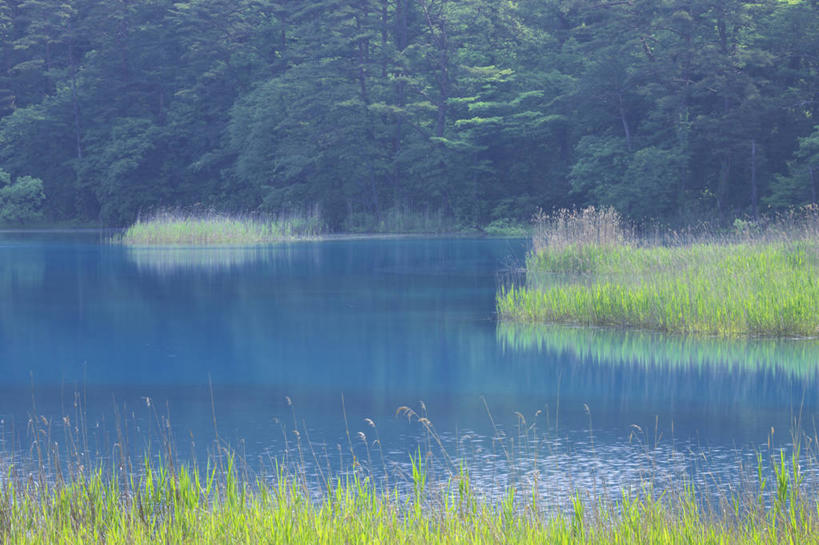 无人,横图,室外,白天,正面,旅游,度假,草地,草坪,美景,树林,植物,日本,亚洲,池塘,景观,水池,娱乐,草,树,树木,绿色,自然,享受,休闲,景色,放松,生长,成长,自然风光,东亚,本州,本州岛,日本国,东北地方,福岛,福岛县,彩图