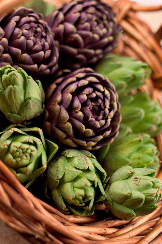 无人,交叉,竖图,俯视,室内,特写,白天,植物,竹子,水果,一排,许多,竹制,新鲜,整齐,编织,篮子,生食,食品,果实,草药,药草,中药,食物,排列,绿色,紫色,竹篮,蓟,有机食品,绿色食品,竹条,交织,竹制品,队列,药材,中草药,中药材,本草,大蓟,刺蓟,山萝卜,穿插,彩图,高角度拍摄