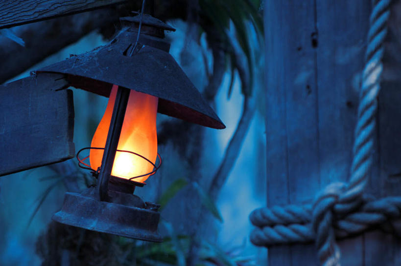 无人,横图,室外,夜晚,正面,旅游,度假,美景,树林,植物,照明,景观,灯光,娱乐,吊灯,灯,树,树木,一个,蓝色,绿色,蓝天,天空,自然,绳子,灯具,天,享受,休闲,景色,放松,生长,单个,成长,绳索,照亮,照明设备,自然风光,彩图