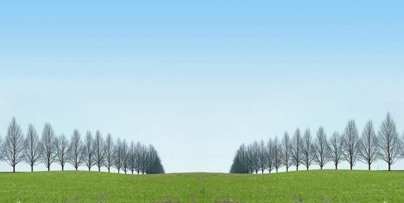 无人,横图,全景,室外,白天,正面,旅游,度假,草地,草坪,美景,树林,植物,一排,阴影,整齐,光线,影子,景观,云,云朵,云彩,娱乐,草,树,树木,排列,蓝色,绿色,白云,蓝天,天空,阳光,自然,天,享受,休闲,景色,放松,生长,成长,队列,自然风光,彩图