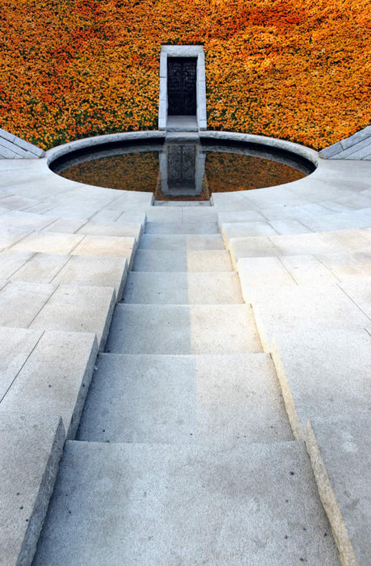 无人,栏杆,竖图,俯视,室外,白天,旅游,度假,楼梯,东京,日本,亚洲,许多,阴影,盛开,光线,扶手,花坛,影子,阶梯,池塘,水池,花蕾,娱乐,护栏,台阶,花,花瓣,花朵,鲜花,阳光,花苞,花蕊,享受,休闲,放松,东亚,本州,关东地方,本州岛,日本国,东京都,彩图,高角度拍摄