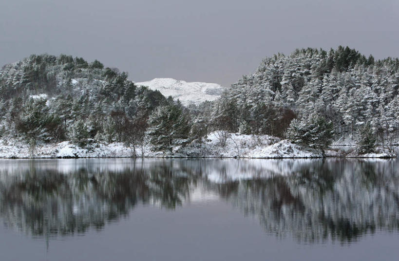 无人,横图,室外,白天,正面,旅游,度假,湖,湖泊,美景,森林,树林,水,雪,植物,大雪,挪威,欧洲,阴影,平静,反射,影子,湖面,积雪,景观,水流,水面,雪景,冬季,冬天,娱乐,树,树木,绿色,自然,湖水,享受,休闲,景色,安静,放松,寒冷,生长,成长,宁静,斯堪的纳维亚,静谧,自然风光,北欧,斯堪的纳维亚半岛,镇静,严寒,冷静,沉静,恬静,安祥,僻静,清静,太平,挪威王国,彩图