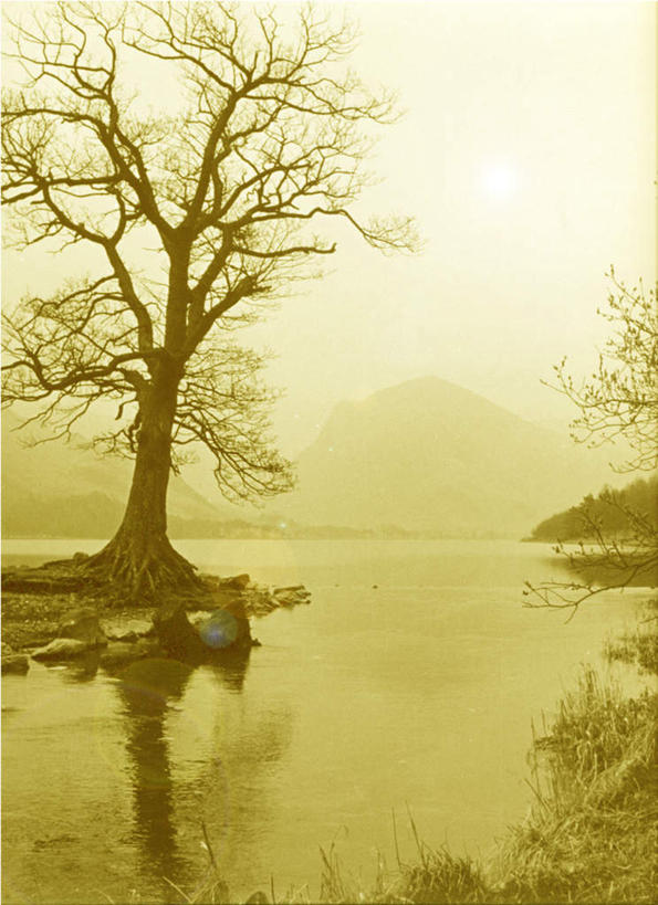 无人,竖图,室外,白天,正面,旅游,度假,湖,湖泊,美景,水,植物,阴影,反射,影子,湖面,景观,水流,水面,娱乐,树,树木,绿色,自然,湖水,享受,休闲,景色,放松,生长,成长,自然风光,彩图