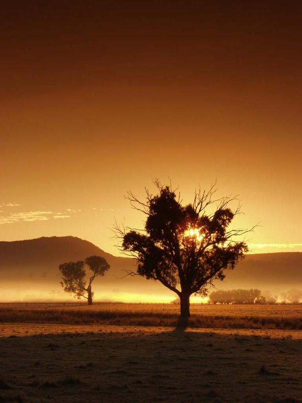 无人,竖图,室外,白天,正面,旅游,度假,美景,日落,植物,澳大利亚,景观,晚霞,霞光,云,云朵,落日,云彩,娱乐,树,树木,蓝色,绿色,白云,蓝天,天空,自然,黄昏,天,享受,休闲,景色,彩霞,放松,生长,晴朗,成长,自然风光,大洋洲,澳洲,南方大陆,澳大利亚联邦,夕照,晴空,夕阳,彩图,斜阳