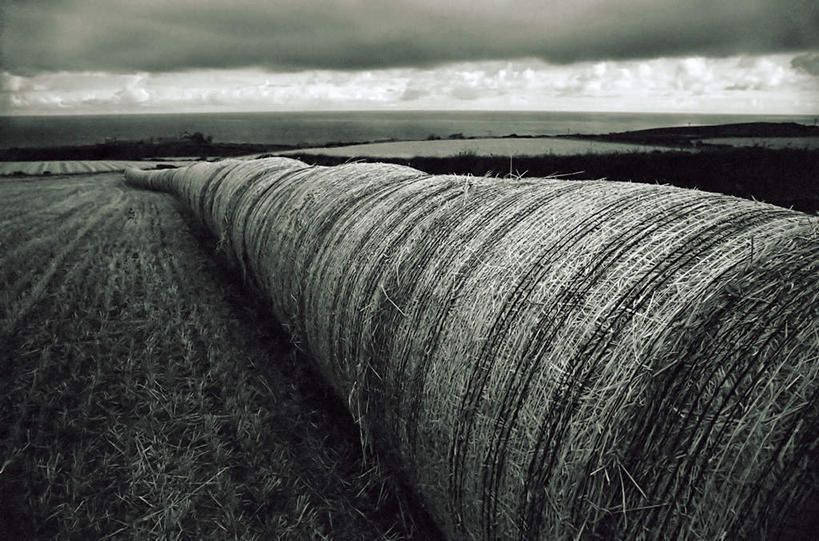 无人,横图,室外,白天,正面,旅游,度假,草地,草坪,海浪,海洋,美景,植物,景观,浪花,水平线,辽阔,干草,海平线,娱乐,草,蓝色,绿色,蓝天,天空,自然,海水,天,享受,休闲,广阔,景色,放松,晴朗,一望无际,自然风光,海景,万里无云,无边无际,一马平川,大海,风浪,海,海水的波动,近岸浪,涌浪,晴空,晴空万里,彩图,水天相接,水天一线