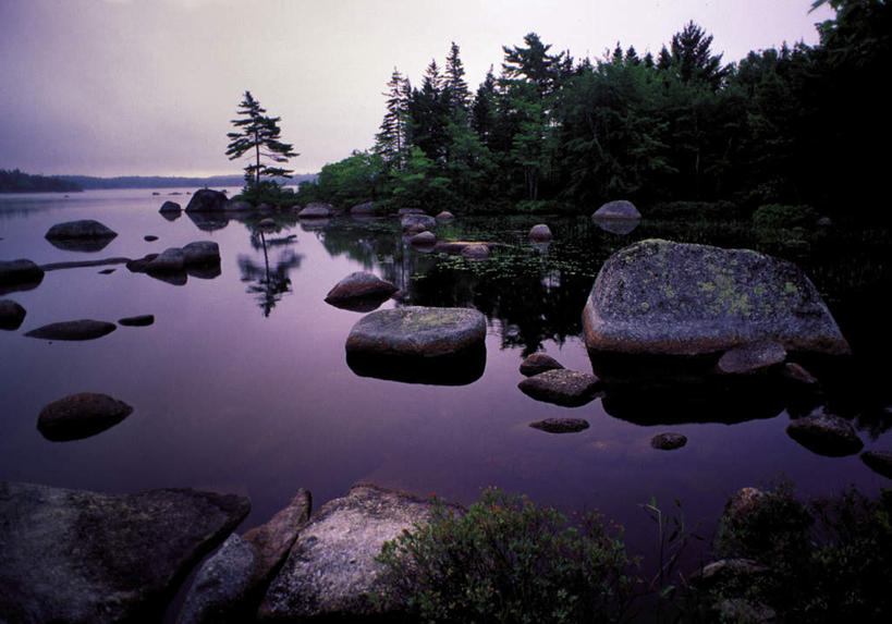 无人,横图,室外,白天,正面,旅游,度假,海浪,海洋,石头,美景,森林,树林,植物,加拿大,石子,景观,浪花,水平线,辽阔,海平线,娱乐,树,树木,蓝色,绿色,蓝天,天空,自然,海水,天,享受,休闲,广阔,景色,放松,生长,晴朗,成长,一望无际,北美,北美洲,自然风光,美洲,海景,新斯科舍,万里无云,北亚美利加洲,亚美利加洲,新斯科舍省,无边无际,一马平川,大海,风浪,海,海水的波动,近岸浪,石块,岩石,涌浪,晴空,晴空万里,彩图,水天相接,水天一线