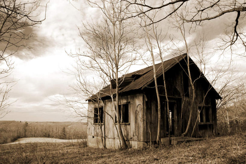 无人,家,横图,室外,白天,正面,旅游,度假,美景,植物,枯萎,房屋,屋子,景观,云,云朵,枯草,云彩,娱乐,楼房,住宅,草,黄色,白云,天空,自然,天,享受,休闲,景色,放松,自然风光,彩图,房子