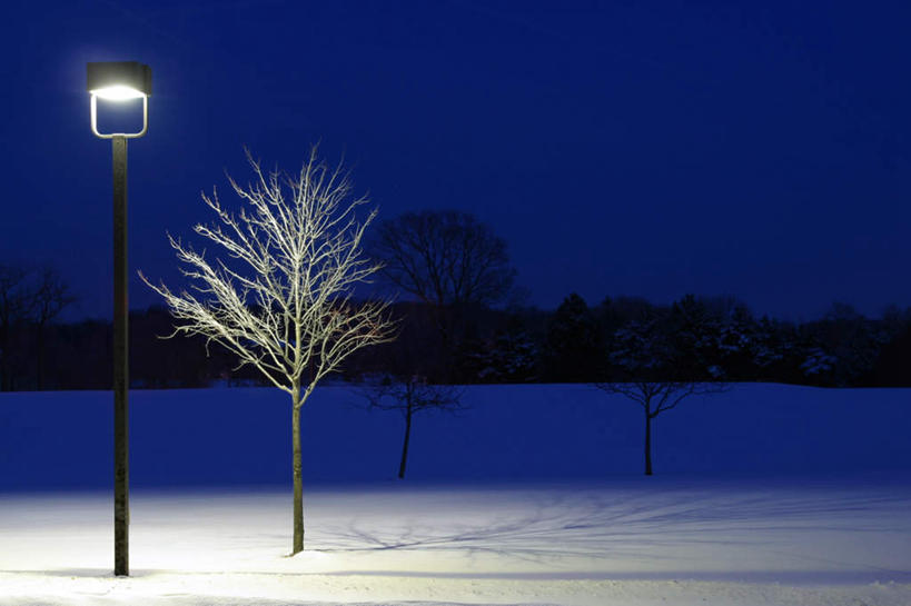 无人,横图,室外,白天,正面,旅游,度假,美景,植物,路灯,照明,景观,灯光,娱乐,灯,树,树木,蓝色,绿色,蓝天,天空,自然,天,享受,休闲,景色,放松,生长,晴朗,成长,照亮,照明设备,自然风光,万里无云,晴空,晴空万里,彩图