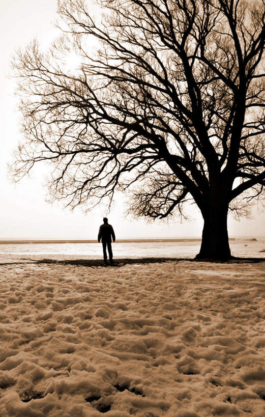 西方人,一个人,站,竖图,室外,白天,正面,沙滩,植物,欧洲,欧洲人,仅一个男性,仅一个人,服装,沙子,海岸,云,云朵,沙地,云彩,注视,休闲装,树,树木,仅一个年轻男性,衣服,绿色,白云,天空,自然,天,观察,看,站着,休闲,休闲服,服饰,生长,成长,观看,察看,关注,男人,男性,年轻男性,白种人,海滩,站立,半身,彩图