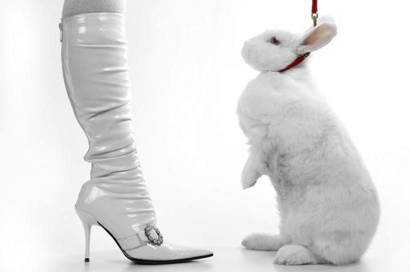 西方人,一个人,站,横图,室内,白天,白色背景,侧面,高跟鞋,哺乳动物,鞋子,欧洲,欧洲人,仅一个年轻女性,仅一个女性,仅一个人,兔子,注视,靴子,动物,观察,看,站着,摄影,影棚,观看,兔,察看,关注,年轻女性,女人,女性,白种人,站立,半身,彩图,影棚拍摄,拍摄