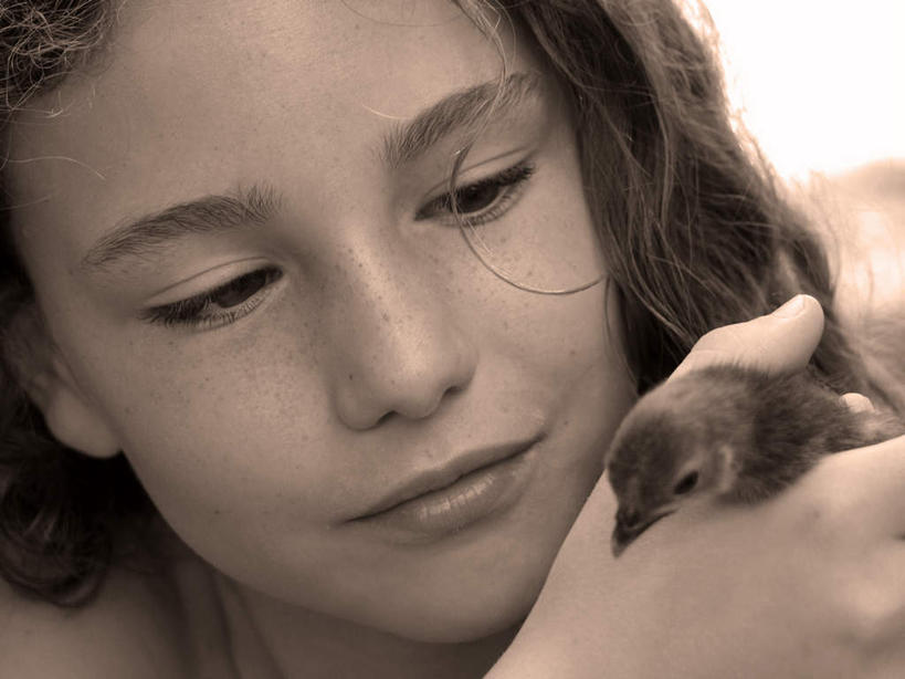 西方人,儿童,脸,头,脸颊,一个人,笑,微笑,横图,室内,特写,白天,正面,纯洁,鸟,欧洲,欧洲人,仅一个女性,仅一个人,握,阴影,反射,鸟类,影子,斑点,拿,拿着,注视,一只,小孩,观察,看,仅一个小孩,可爱,童年,童趣,握着,观看,察看,雀斑,关注,童真,烂漫,无邪,雀瘢,天真,女孩,女人,女性,白种人,孩子,头部,脸部,脸蛋,面部,半身,彩图,女生