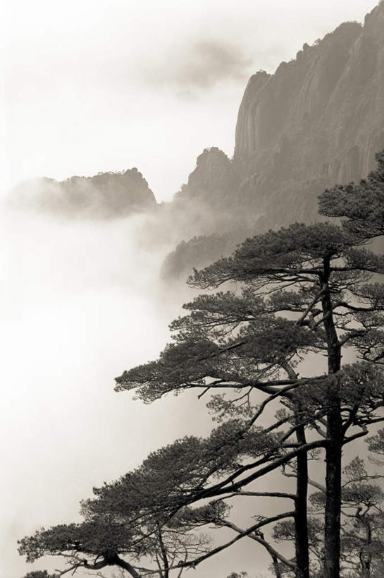 无人,竖图,俯视,黑白,室外,白天,旅游,度假,华山,美景,山,山脉,树林,植物,雾,中国,亚洲,阴影,朦胧,模糊,光线,影子,景观,山峰,云,云朵,山峦,云彩,娱乐,树,树木,蓝色,绿色,白云,蓝天,天空,阳光,自然,群山,天,享受,休闲,景色,放松,生长,晴朗,成长,迷雾,自然风光,东亚,安徽,安徽省,中华人民共和国,华东地区,省会,皖,奇险天下第一山,西岳,西岳华山,大雾,晴空,高角度拍摄