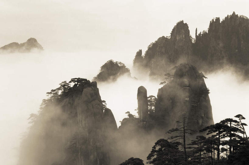 无人,横图,俯视,航拍,室外,白天,旅游,度假,华山,美景,山,山脉,植物,中国,亚洲,一排,许多,阴影,整齐,光线,影子,景观,山峰,烟雾,山峦,很多,娱乐,树,树木,排列,绿色,阳光,自然,群山,享受,休闲,景色,放松,生长,成长,鸟瞰,队列,自然风光,东亚,安徽,安徽省,中华人民共和国,华东地区,省会,皖,奇险天下第一山,西岳,西岳华山,彩图,高角度拍摄