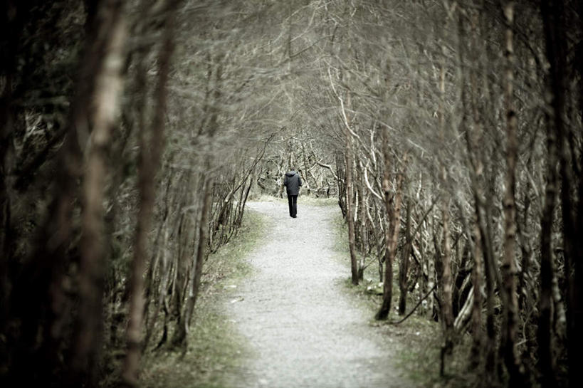 西方人,一个人,走,横图,俯视,室外,白天,树林,雪,植物,大雪,道路,路,爱尔兰,欧洲,欧洲人,仅一个男性,仅一个人,枯萎,积雪,雪景,冬季,冬天,小路,交通,树,树木,仅一个年轻男性,绿色,自然,寒冷,乡间小路,生长,成长,死亡,西欧,爱尔兰共和国,严寒,枯败,男人,男性,年轻男性,白种人,步行,散步,走路,彩图,高角度拍摄,全身