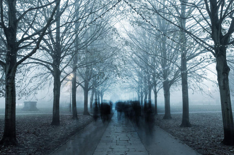 西方人,走,横图,室外,白天,树林,植物,雾,道路,路,照明,欧洲,圣诞节,欧洲人,节日,枯萎,朦胧,模糊,庆祝,彩灯,小路,灯光,交通,许多人,文化,灯,树,树木,背面,绿色,自然,灯具,一群人,庆典,花灯,乡间小路,生长,成长,纪念,照亮,死亡,迷雾,照明设备,枯败,男人,男性,年轻男性,年轻女性,女人,女性,白种人,大雾,步行,散步,走路,彩图,全身