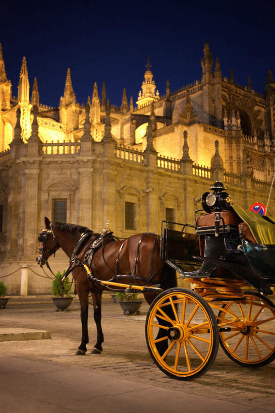 无人,高楼大厦,站,竖图,室外,白天,侧面,度假,美景,植物,城市风光,标志建筑,城市,大厦,地标,建筑,摩天大楼,汽车,马,野生动物,西班牙,欧洲,盆栽,景观,马车,盆景,娱乐,建设,安达卢西亚,车,绿色,自然,动物,栓,交通工具,站着,享受,休闲,景色,放松,运输,牲畜,生长,成长,南欧,载具,安达鲁西亚,西班牙王国,安达卢西亚自治区,站立,彩图,全身,大楼,高层建筑,高楼,摩天楼