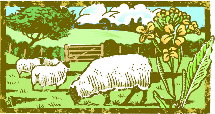 无人,农场,栏杆,站,横图,插画,室内,白天,侧面,旅游,度假,畜牧业,牧场,数码,科技,草地,草坪,美景,植物,门,羊,四只,阴影,盛开,网络,栅栏,景观,篱笆,围栏,高光,几何,计算机图形,合成,花蕾,图画,娱乐,护栏,画,草,花,花瓣,花朵,鲜花,树,树木,绿色,自然,动物,门框,花苞,花蕊,站着,享受,休闲,家畜,景色,放松,牲畜,生长,成长,电脑合成图,数码合成图,合成图,自然风光,漫画,畜牧,写实,具体,具象,牧业,绵羊,站立,彩图,全身