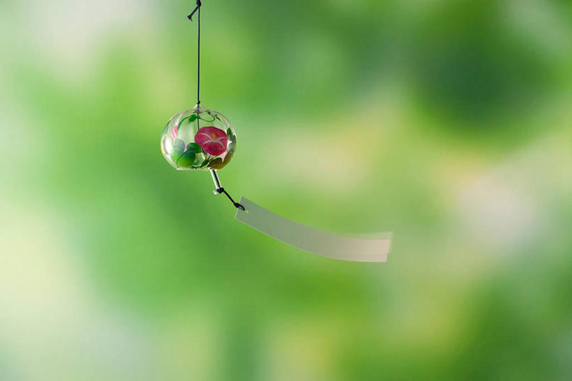 无人,横图,室外,特写,白天,正面,幸福,运气,美景,植物,风铃,吊挂,悬挂,朦胧,模糊,飘扬,景观,挂,树,树木,绿色,自然,祈祷,祈福,景色,警示,许愿,生长,成长,飘逸,祈求,吉祥,平和,自然风光,飞扬,问候,警惕,思念,想念,玉振,幸运,占风铎,彩图,日式风铃