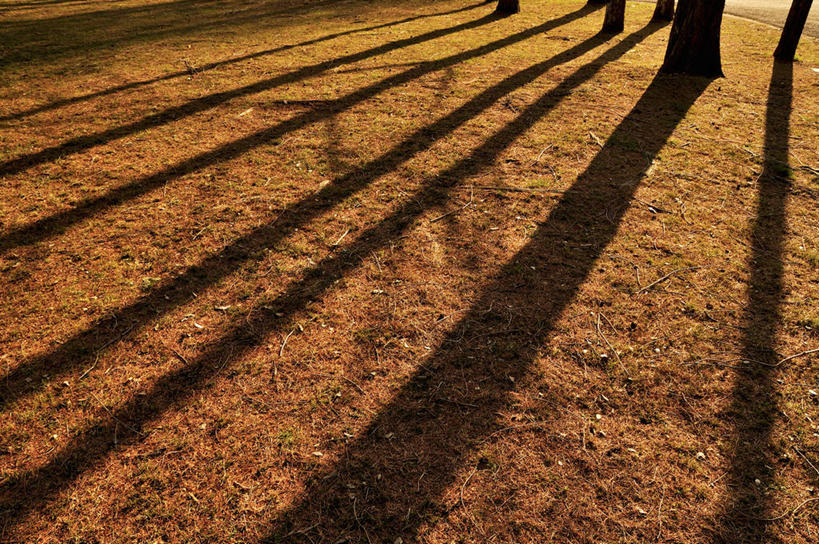 无人,横图,俯视,室外,白天,旅游,度假,美景,日落,日本,亚洲,许多,景观,泥土,土壤,晚霞,霞光,落日,树桩,很多,娱乐,树,树干,排列,自然,黄昏,享受,休闲,木桩,景色,彩霞,放松,队列,自然风光,红壤,东亚,日本国,夕照,薄暮,夕阳,红土,彩图,高角度拍摄,傍晚,斜阳