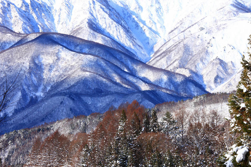 无人,横图,室外,白天,正面,旅游,度假,美景,山,树林,雪,雪山,植物,大雪,长野县,日本,亚洲,阴影,光线,影子,冰,积雪,景观,山峰,雪景,冬季,冬天,山峦,娱乐,白马,树,树木,绿色,阳光,自然,享受,休闲,景色,放松,寒冷,生长,成长,冰冷,自然风光,东亚,本州,本州岛,日本国,中部地方,长野,严寒,冰凉,酷寒,凛冽,凛凛,极冷,彩图