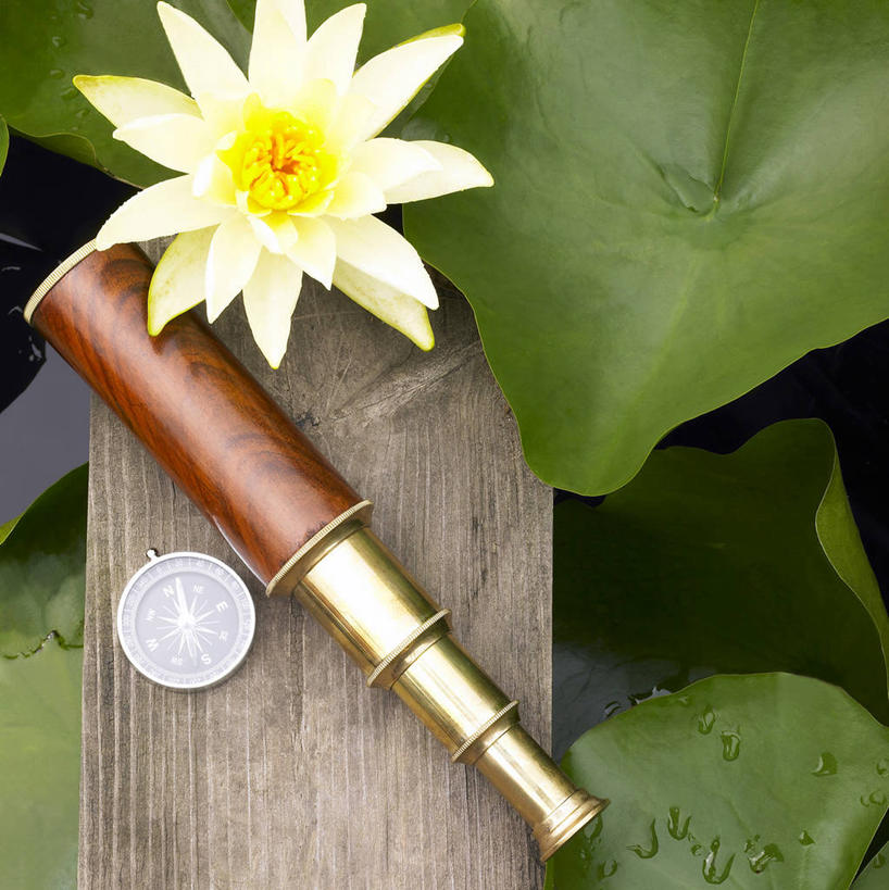 无人,竖图,俯视,室外,特写,白天,仪器,科技,睡莲,叶子,眺望,阴影,检查,研究,盛开,反射,分析,光线,科学,望远镜,影子,绿叶,花蕾,方向,历史,花,花瓣,花朵,鲜花,一个,粉色,阳光,花苞,花蕊,观察,嫩叶,指南针,清晰,探索,指示,地理,放大,单个,观看,罗盘,仔细,科研,科学技术,瞭望,指向,聚焦,关注,指北针,司南,发明,纯真,妖艳,远视镜,瞭望镜,光学,清楚,罗盘针,基准,水芹花,抒情,洁净,水洋花,小莲花,子午莲,叶,叶片,彩图,高角度拍摄,光学仪器,千里镜,地质