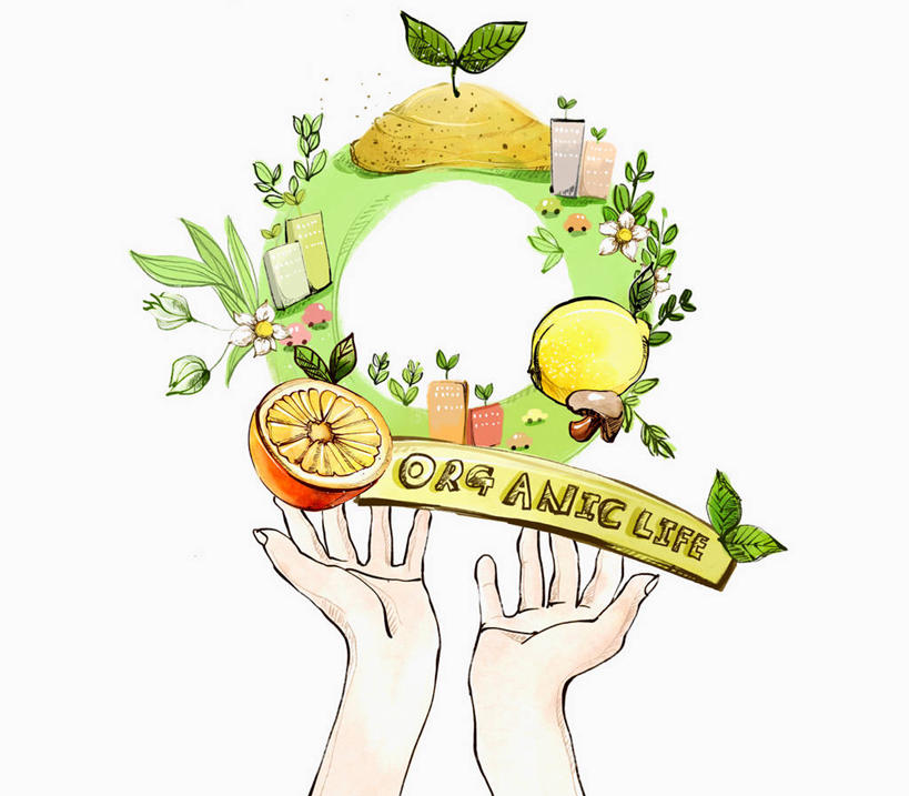 东方人,手,一个人,无人,捧,横图,插画,室内,白天,白色背景,正面,数码,科技,植物,柠檬,水果,叶子,亚洲,双手,仅一个年轻女性,仅一个女性,仅一个人,阴影,新鲜,盛开,网络,英文,圆形,标志,图形,文字,纹理,圆,字符,字母,生食,食品,果实,绿叶,高光,几何,计算机图形,合成,花蕾,图画,黄种人,标识,画,花,花瓣,花朵,鲜花,食物,绿色,花苞,花蕊,手部,嫩叶,有机食品,绿色食品,英文字母,电脑合成图,数码合成图,合成图,甜橙,数学,漫画,肌理,写实,具体,具象,年轻女性,女人,女性,亚洲人,叶,叶片,叶脉,益母果,柠果,橙子,橙,端,端着,捧着,手捧,半身,彩图,几何图形,鹄壳,黄橙,黄果,金橙,金环,金球,糖橙,平面图形