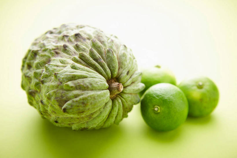 无人,横图,室内,特写,白天,正面,水果,阴影,新鲜,反射,影子,生食,食品,果实,食物,绿色,四个,番荔枝,摄影,有机食品,绿色食品,影棚,释迦,酸橙,佛头果,代代,凤梨释迦,蜜释迦,释迦凤梨,橙子,橙,彩图,影棚拍摄,拍摄