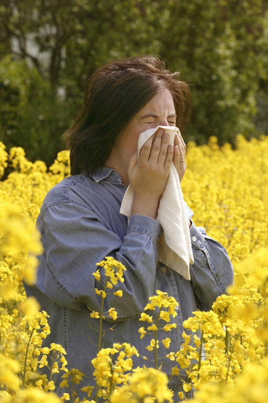 西方人,一个人,农田,站,闭眼,竖图,室外,白天,正面,庄稼,农作物,花海,花圃,树林,植物,生活用品,叶子,欧洲,欧洲人,仅一个年轻女性,仅一个女性,仅一个人,擦,抚摸,握,阴影,服装,盛开,光线,影子,纸,拿,花蕾,拿着,休闲装,花,花瓣,花朵,花卉,鲜花,树,树木,衣服,绿色,阳光,自然,纸巾,日用品,花丛,花束,花田,花苞,花蕊,油菜花,站着,休闲,休闲服,擦拭,握着,服饰,生长,成长,卫生纸,生活用纸,揩擦,拭,年轻女性,女人,女性,白种人,闭眼睛,闭着眼,闭着眼睛,站立,半身,彩图,耕地,庄稼田,油菜花田,芸苔,芸薹,轻抚,打喷嚏