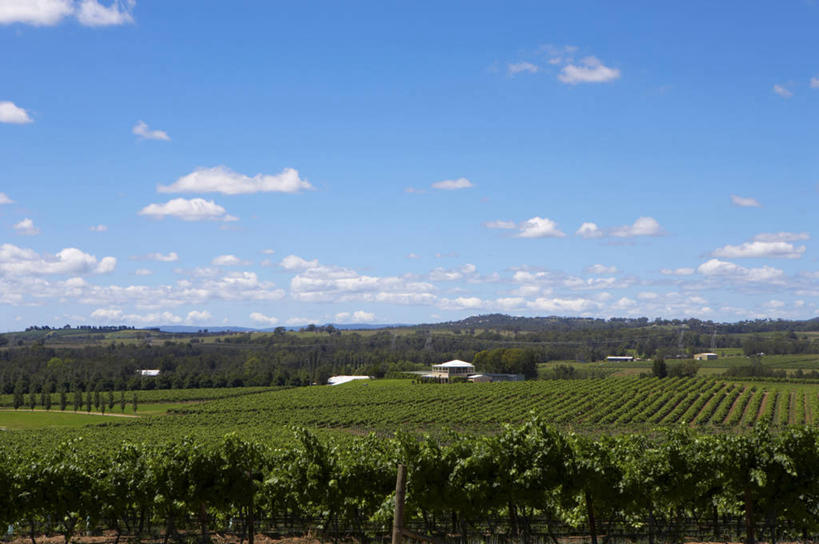 无人,家,果园,农场,横图,室外,白天,正面,旅游,度假,畜牧业,牧场,美景,森林,山,山脉,树林,田园,植物,澳大利亚,阴影,光线,影子,房屋,屋子,景观,山顶,山峰,云,云朵,山峦,云彩,娱乐,楼房,葡萄园,架子,住宅,树,树木,蓝色,绿色,白云,蓝天,天空,阳光,自然,庄园,群山,天,享受,休闲,景色,放松,生长,晴朗,成长,支撑,固定,自然风光,大洋洲,澳洲,葡萄架,畜牧,南方大陆,牧业,澳大利亚联邦,新南威尔士,新南威尔士州,颠峰,极峰,晴空,彩图,房子,亨特谷,猎人谷