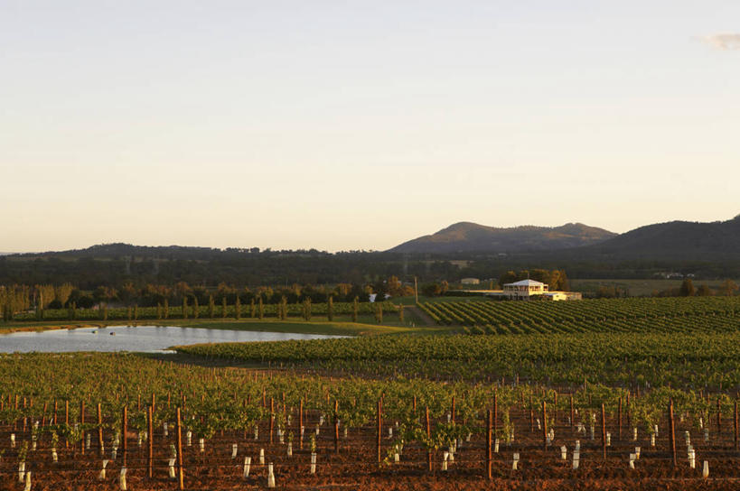 无人,果园,农场,横图,室外,白天,正面,旅游,度假,畜牧业,牧场,草地,草坪,石头,美景,日落,山,山脉,田园,植物,澳大利亚,阴影,光线,石子,影子,景观,山顶,山峰,晚霞,霞光,落日,山峦,娱乐,葡萄园,架子,草,树,树木,绿色,阳光,自然,黄昏,庄园,群山,享受,休闲,景色,彩霞,放松,生长,成长,支撑,固定,自然风光,大洋洲,澳洲,葡萄架,畜牧,南方大陆,牧业,澳大利亚联邦,新南威尔士,新南威尔士州,颠峰,极峰,夕照,薄暮,石块,夕阳,彩图,傍晚,亨特谷,猎人谷,斜阳